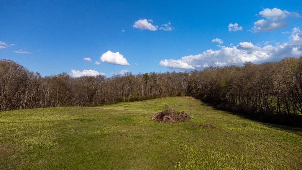 0 Harold Patterson Road Dandridge, TN 37725 - Photo 10 of 19