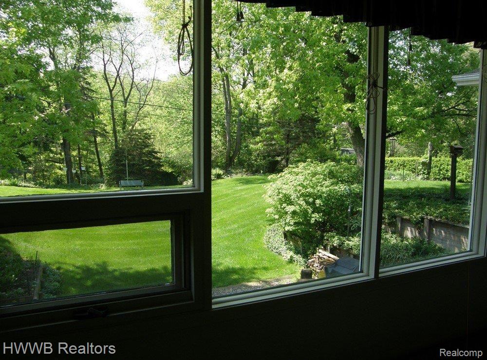 VIEW  FROM  LIVING  ROOM  