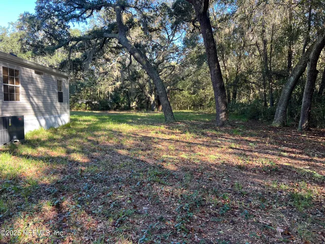 a view of a yard with trees