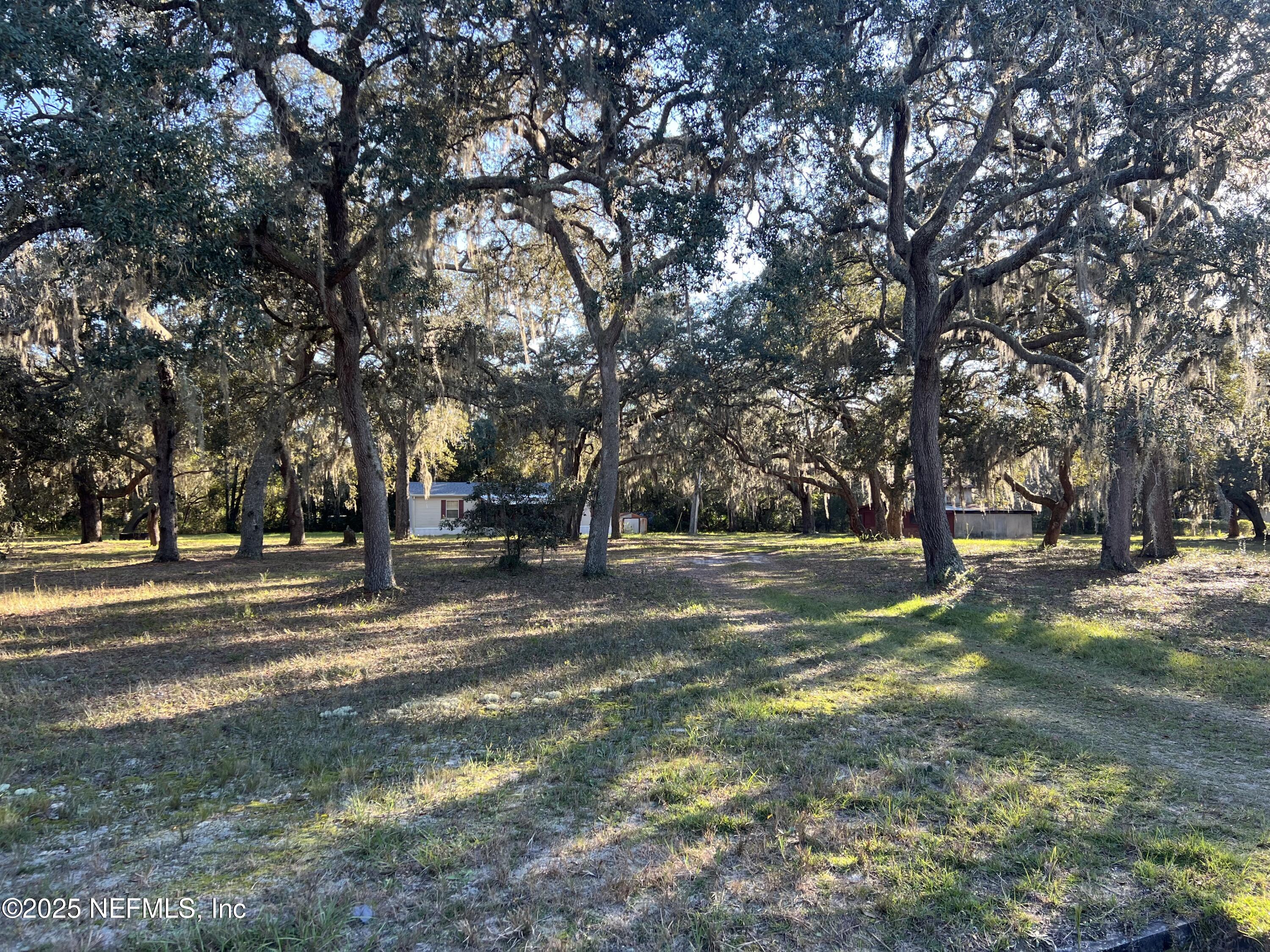 159 Keystone Road Palatka, FL 32177 - Photo 3 of 36 a view of road with trees