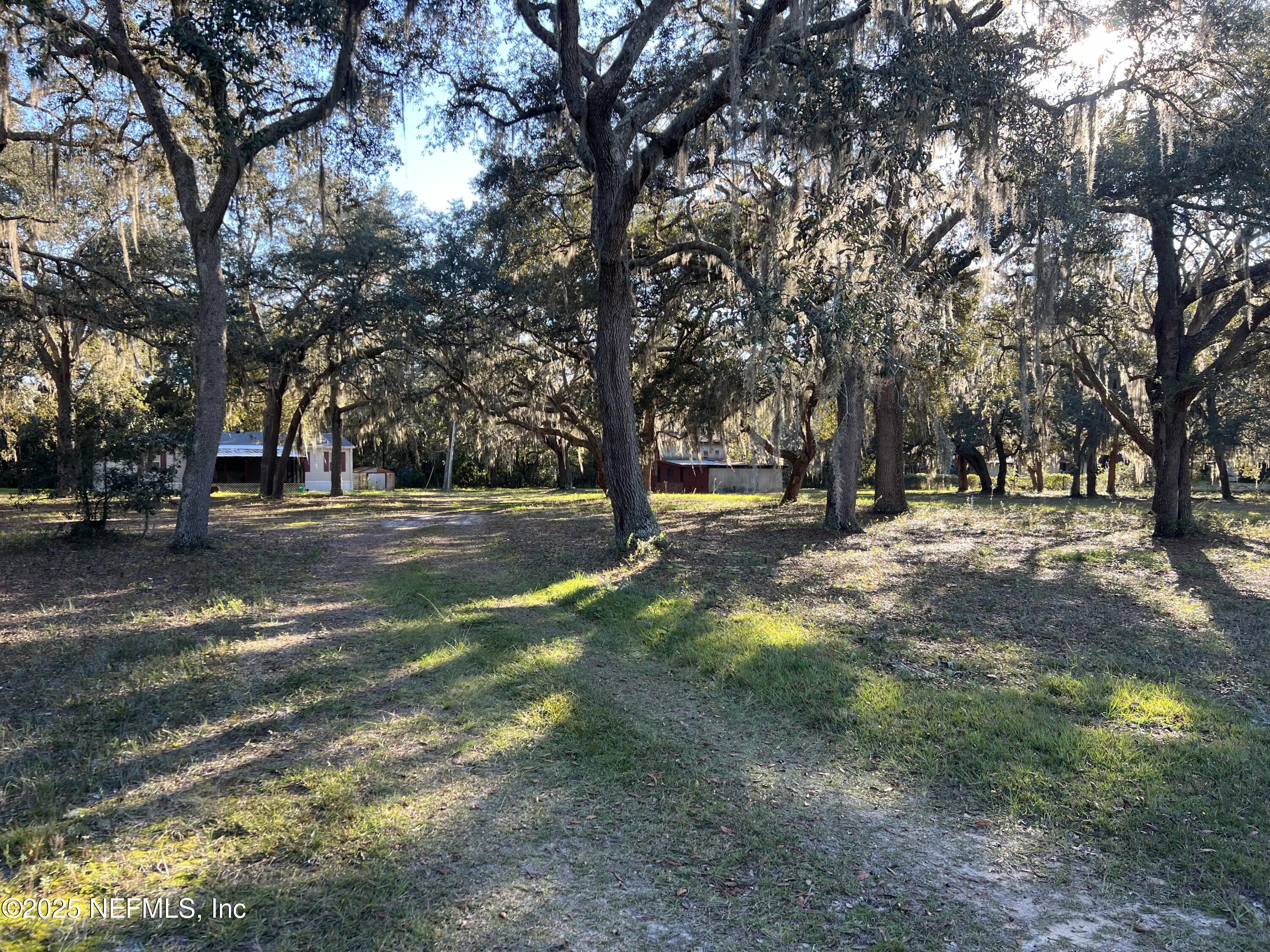 159 Keystone Road Palatka, FL 32177 - Photo 4 of 36 a view of park with trees