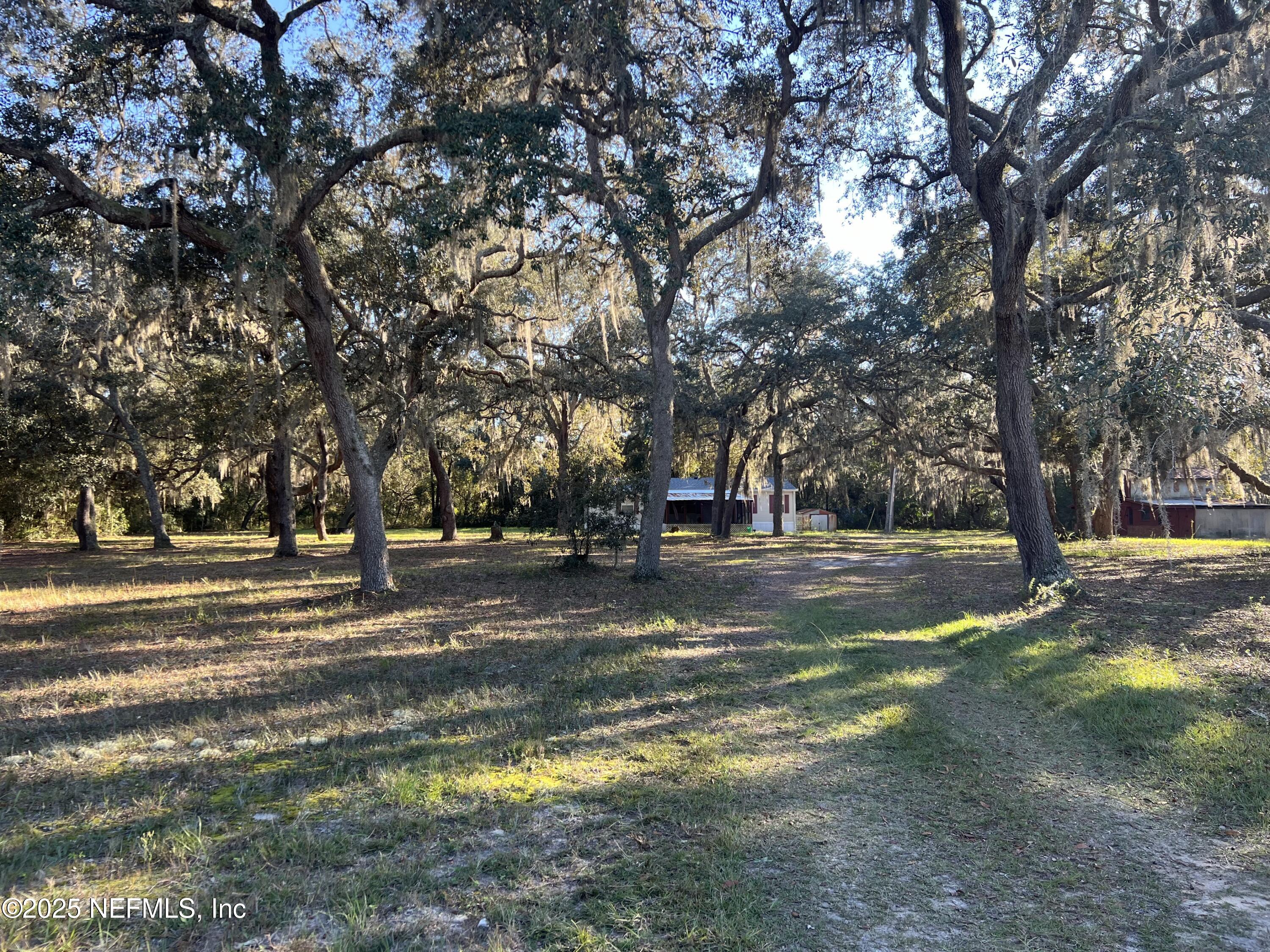 159 Keystone Road Palatka, FL 32177 - Photo 6 of 36 a view of street with trees