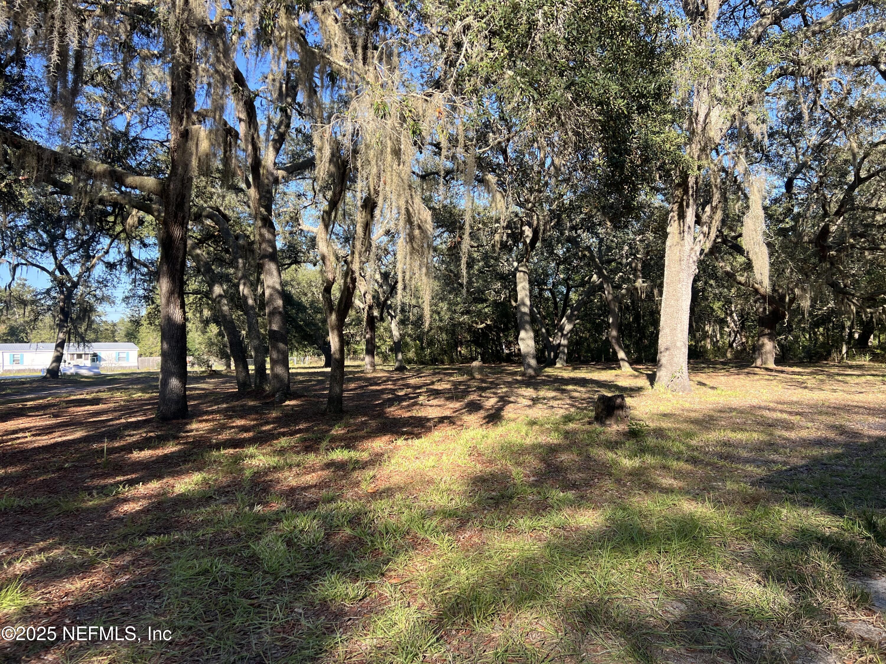 159 Keystone Road Palatka, FL 32177 - Photo 8 of 36 a view of swimming pool with trees