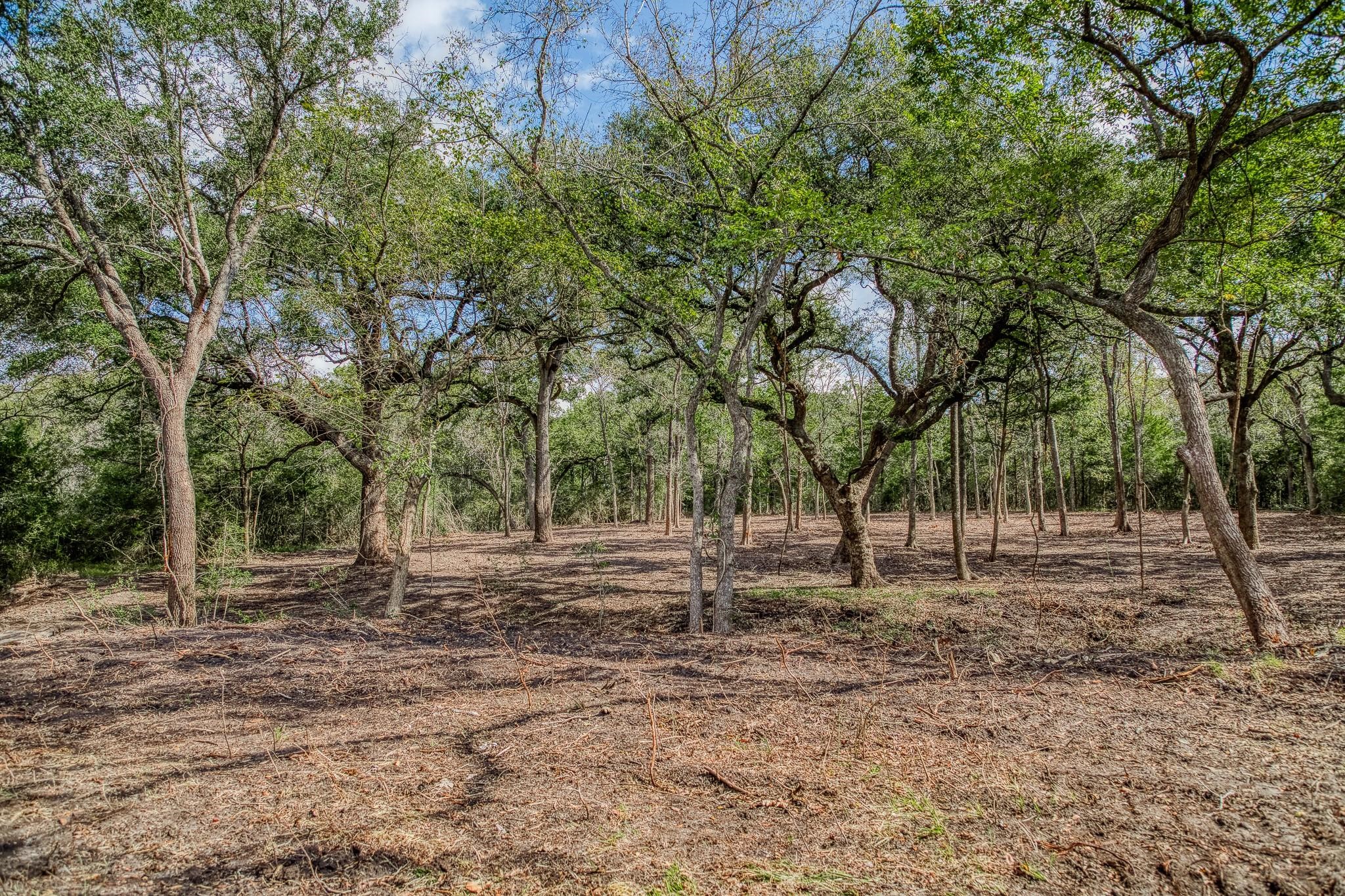Tbd Sun Oil Road Brenham, TX 77833 - Photo 24 of 37 a backyard of a house with lots of green space