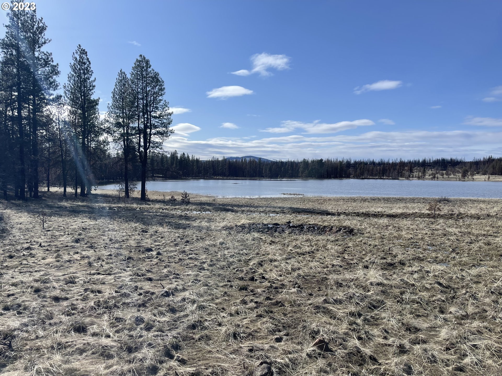 a view of a yard next to a building