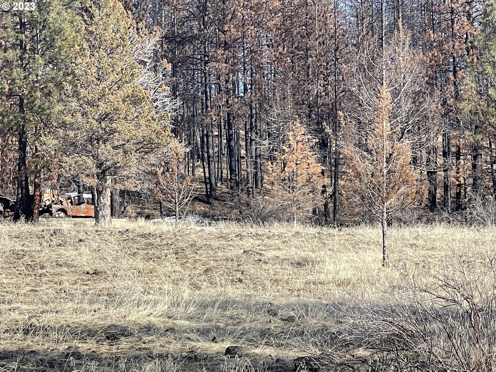 0 Loyd Low Trail Bly, OR 97622 - Photo 12 of 21 a view of a yard covered with snow in the yard