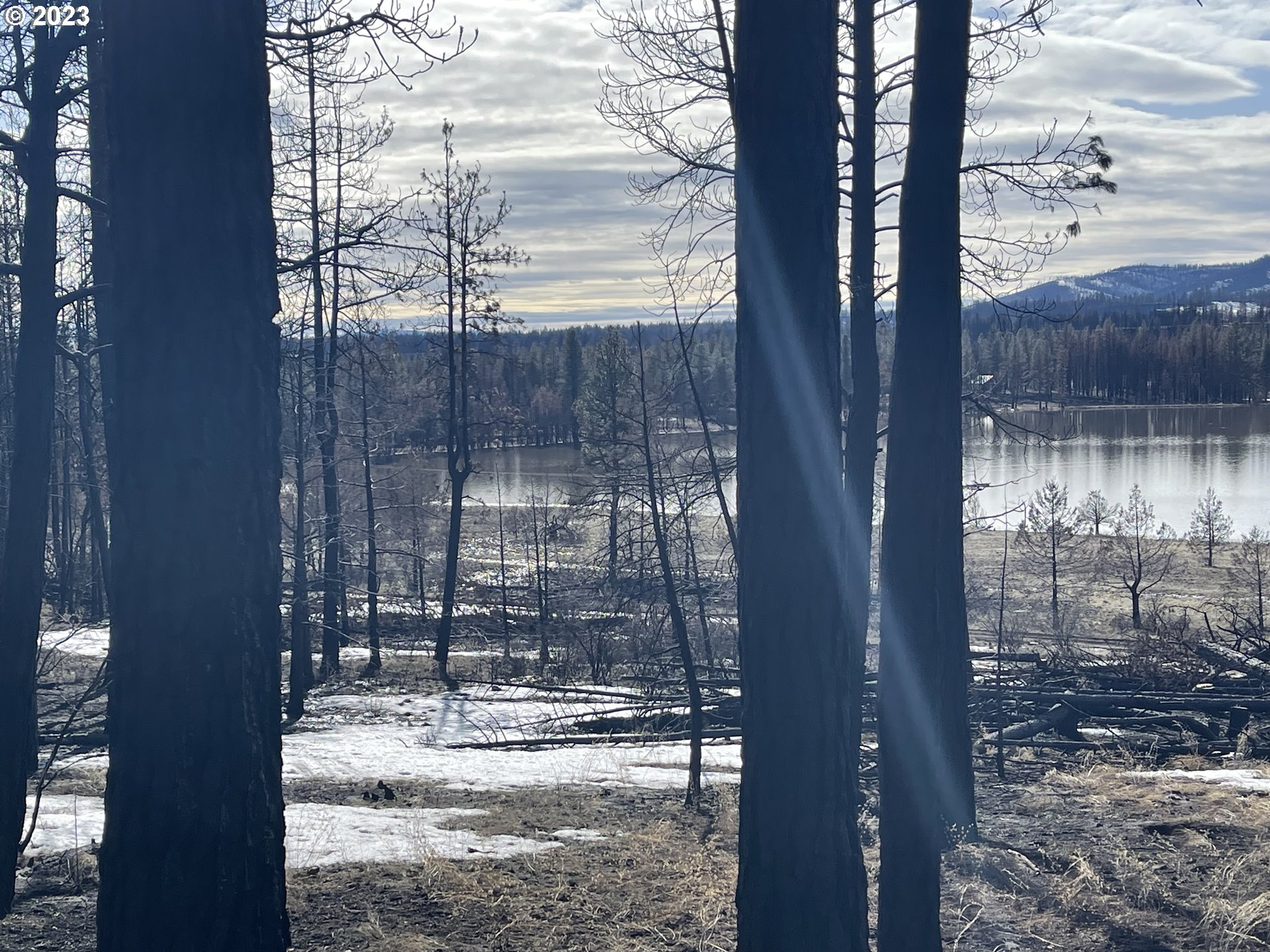 0 Loyd Low Trail Bly, OR 97622 - Photo 15 of 21 a view of a glass door with a tree