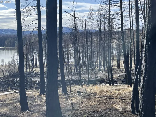a view of a backyard of the house