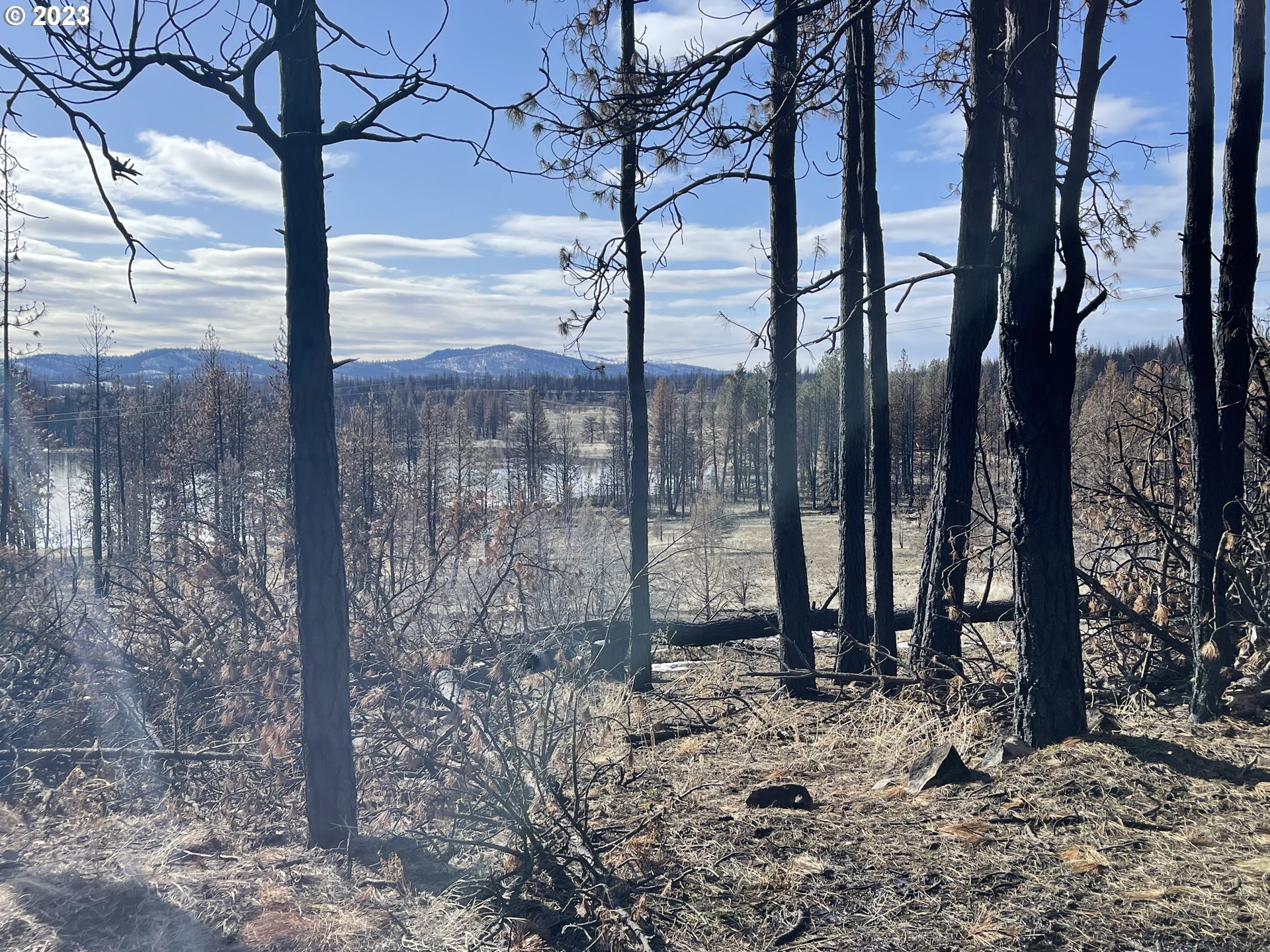0 Loyd Low Trail Bly, OR 97622 - Photo 17 of 21 a view of a yard with a tree