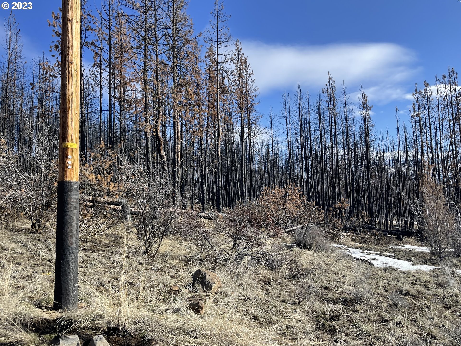 0 Loyd Low Trail Bly, OR 97622 - Photo 19 of 21 a view of outdoor space with trees