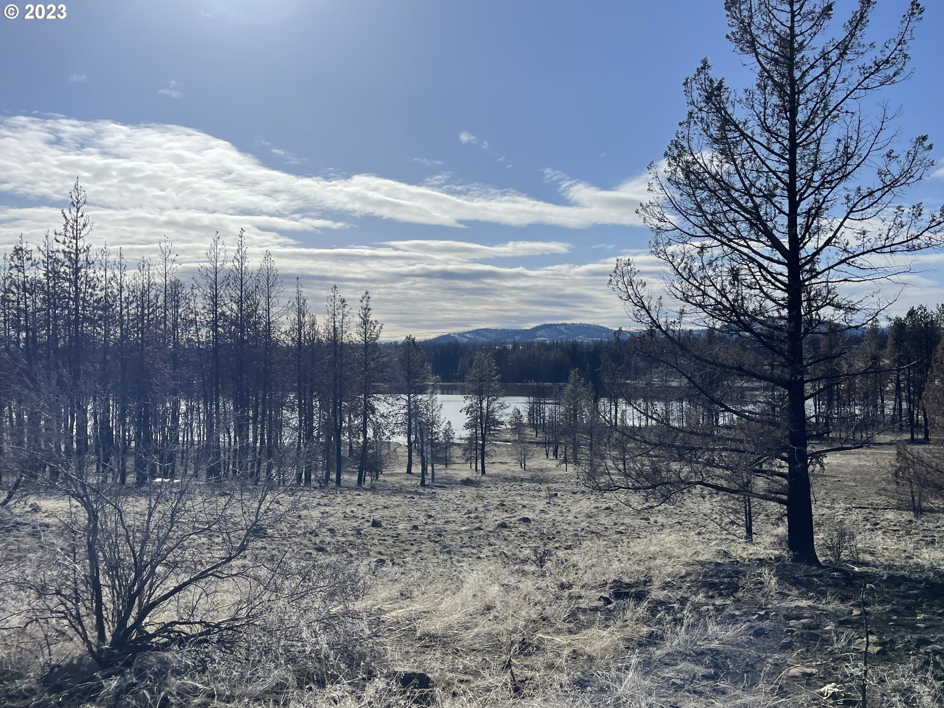 0 Loyd Low Trail Bly, OR 97622 - Photo 20 of 21 a view of a backyard with large trees