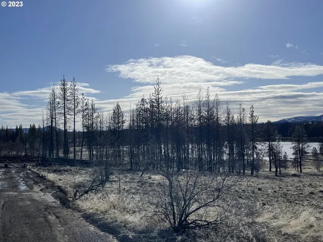 a view of a building with a yard