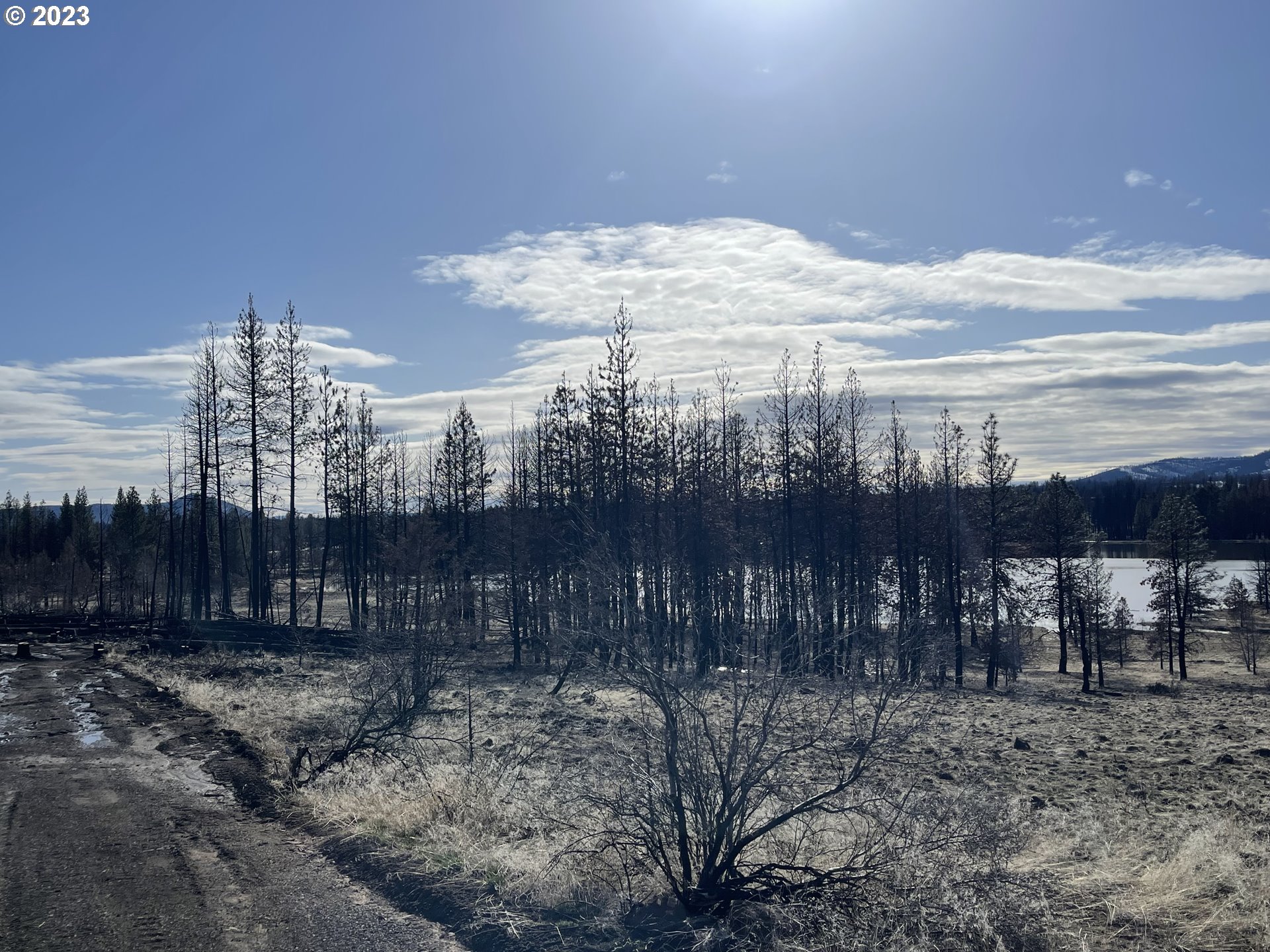 0 Loyd Low Trail Bly, OR 97622 - Photo 21 of 21 a view of a building with a yard