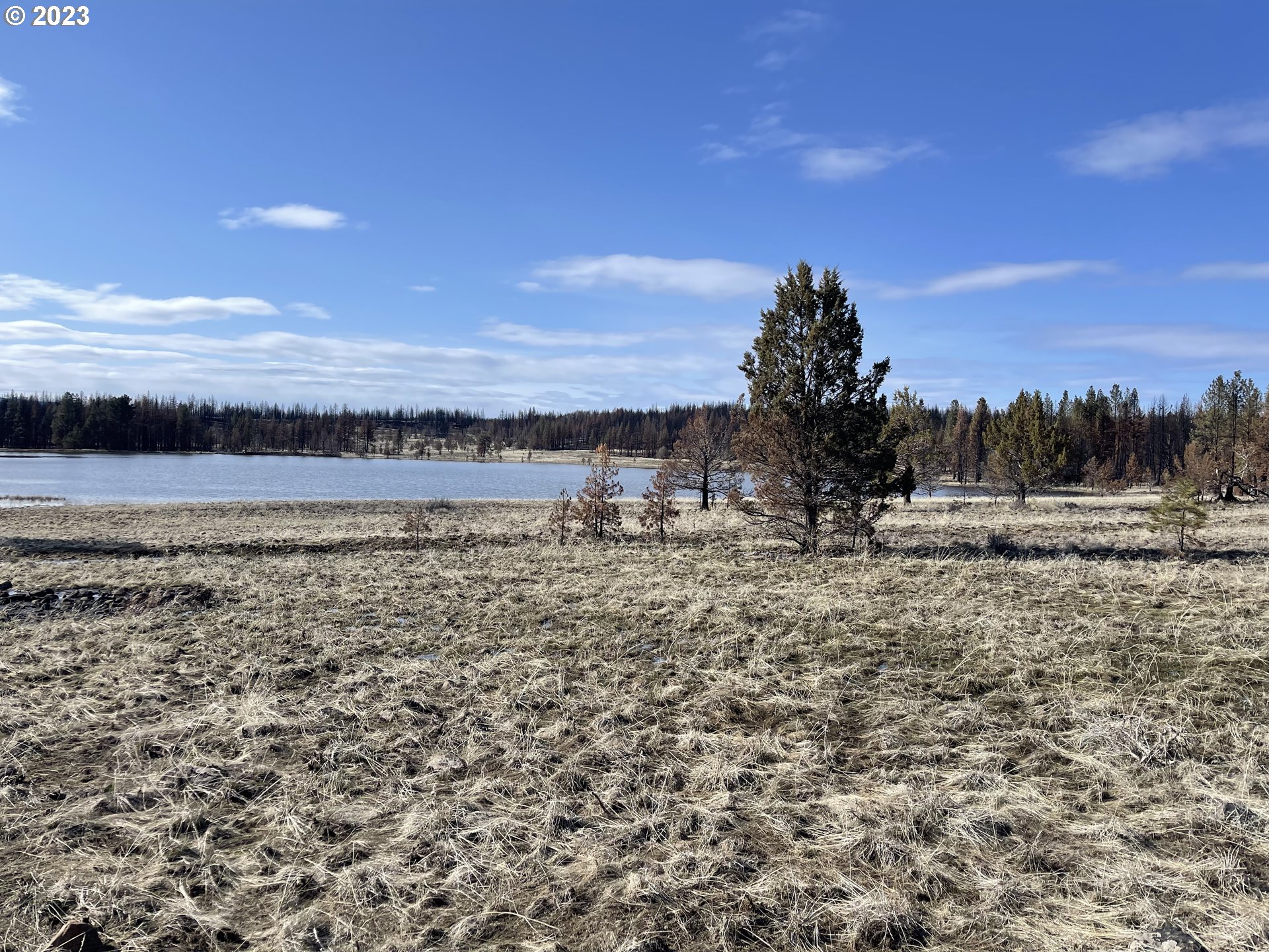 0 Loyd Low Trail Bly, OR 97622 - Photo 9 of 21 a view of a lake with a big yard