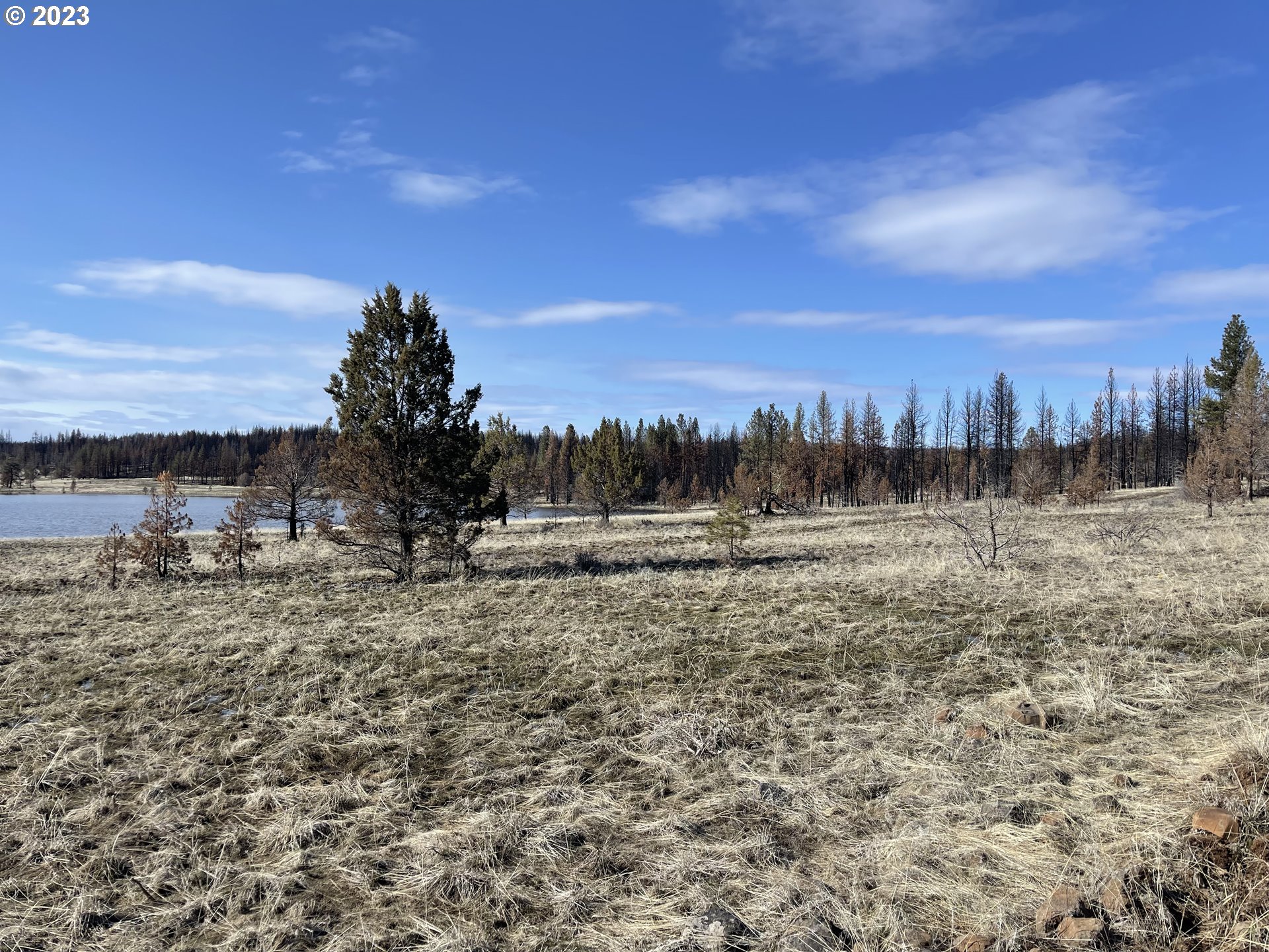 0 Loyd Low Trail Bly, OR 97622 - Photo 10 of 21 a view of a dry yard with trees