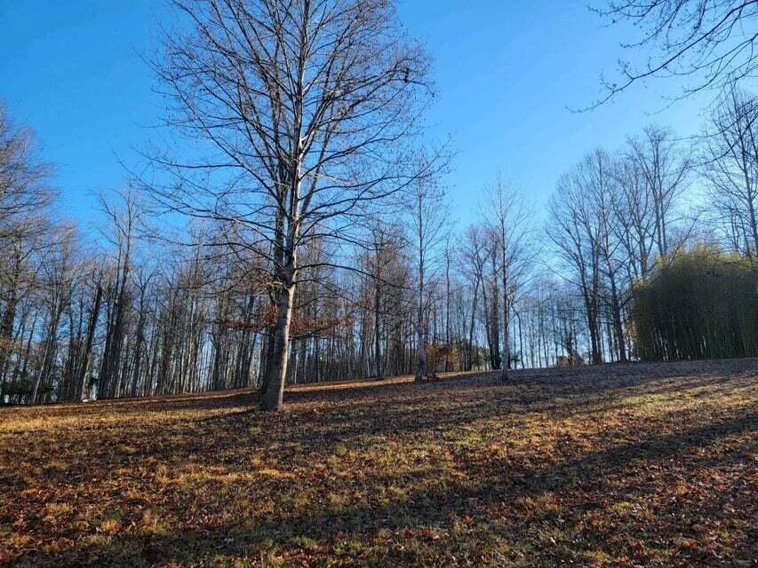 0 Torbett Road, Unit 24 25 26 Spring City, TN 37381 - Photo 24 of 34 16