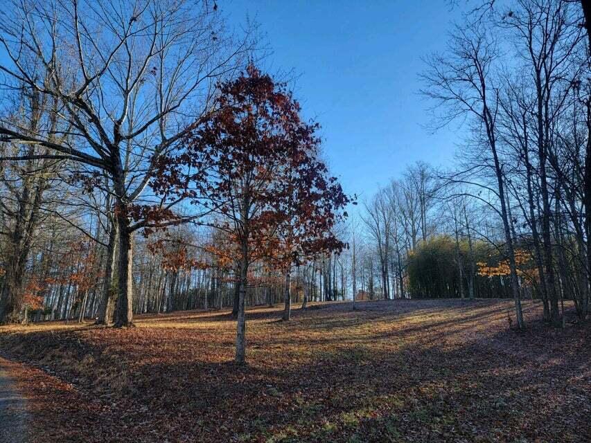 0 Torbett Road, Unit 24 25 26 Spring City, TN 37381 - Photo 27 of 34 19