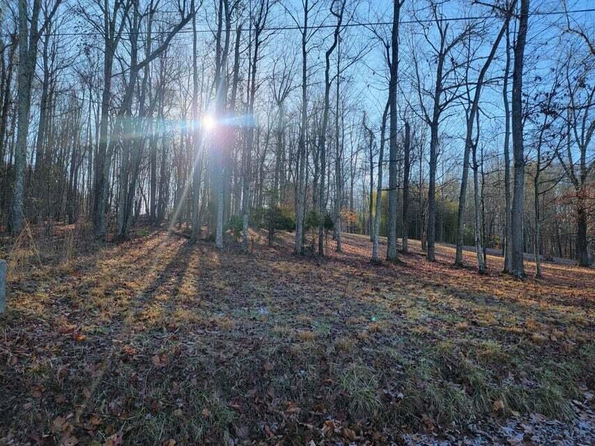 0 Torbett Road, Unit 24 25 26 Spring City, TN 37381 - Photo 28 of 34 20