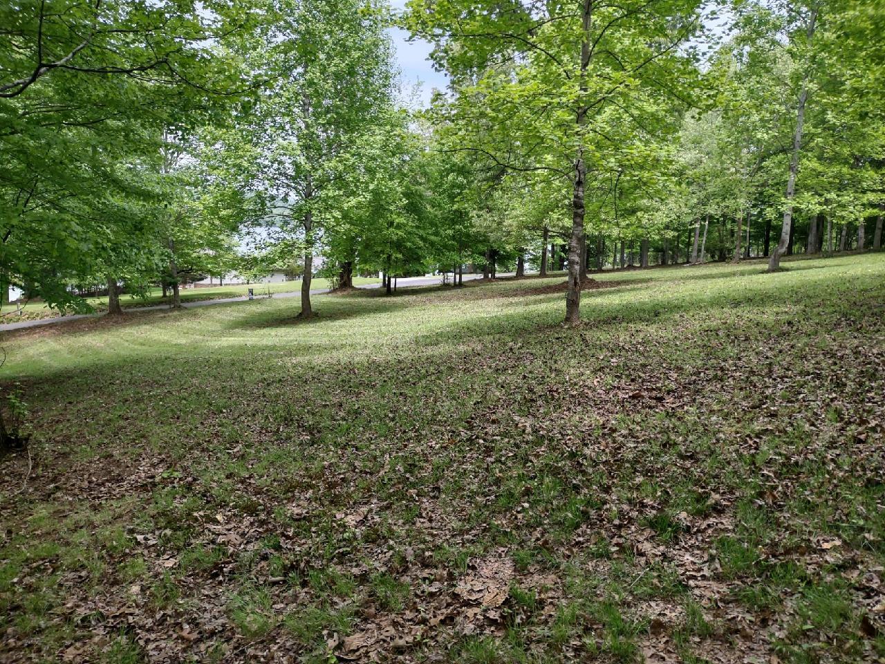 0 Torbett Road, Unit 24 25 26 Spring City, TN 37381 - Photo 4 of 34 3