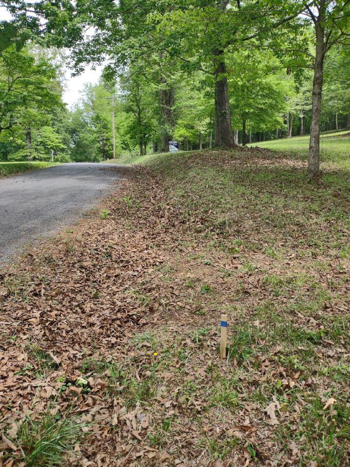 0 Torbett Road, Unit 24 25 26 Spring City, TN 37381 - Photo 8 of 34 7