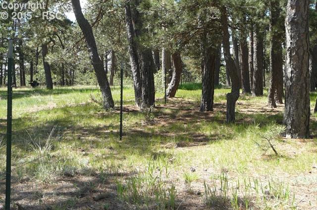 18145 Cumbres Road Peyton, CO 80831 - Photo 28 of 30 Gallery Image 28