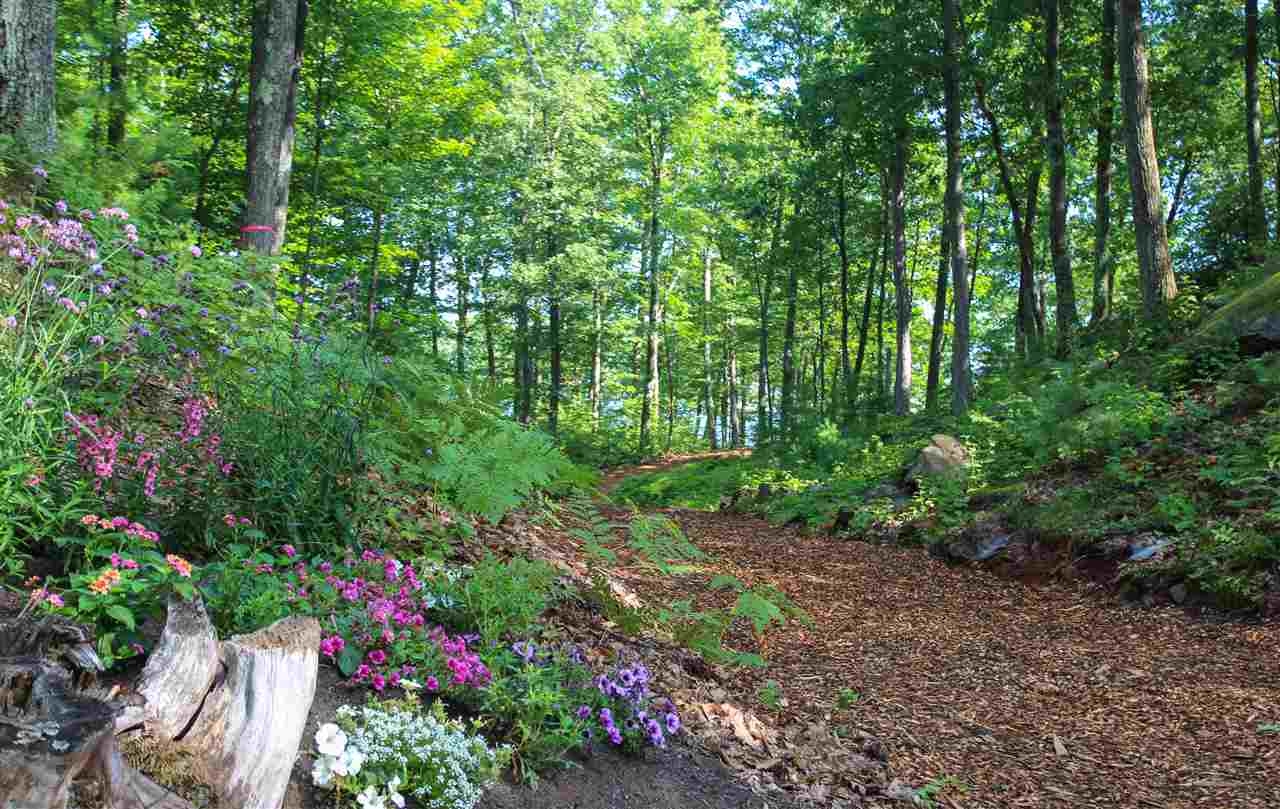 Lot 16 Ridge Road Ashland, NH 03217 - Photo 2 of 7