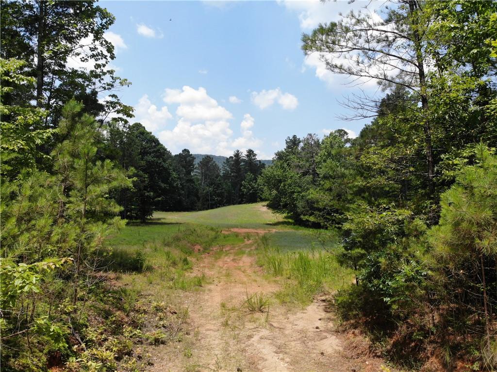 1600 White Road White, GA 30184 - Photo 12 of 17 a view of a lake with a yard