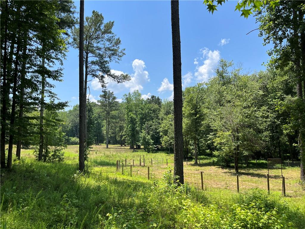 1600 White Road White, GA 30184 - Photo 13 of 17 a view of a garden