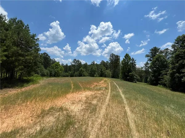a view of a yard with swimming pool