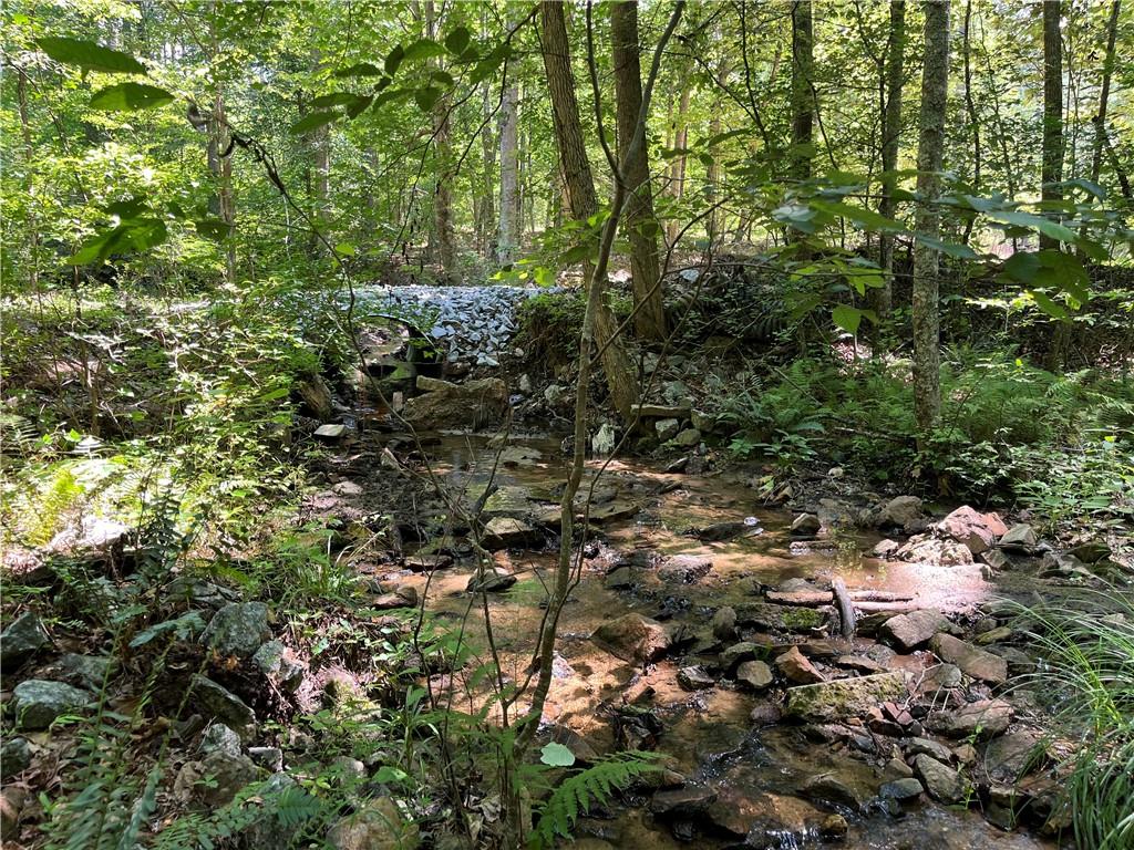 1600 White Road White, GA 30184 - Photo 16 of 17 a view of a forest with large trees