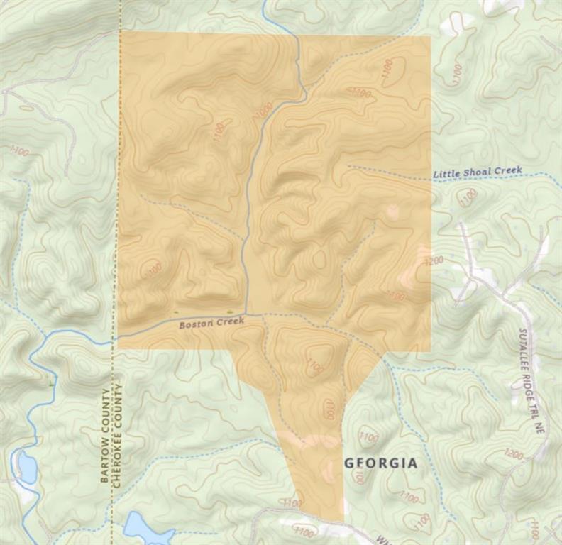 1600 White Road White, GA 30184 - Photo 5 of 17 a bathroom with a shower