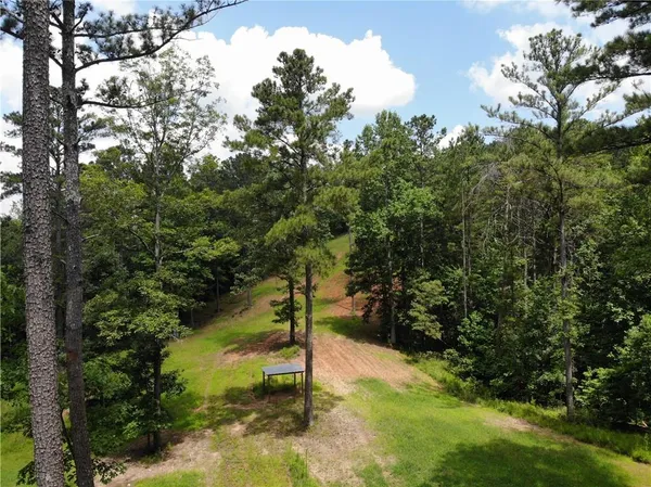 a view of a yard with large trees