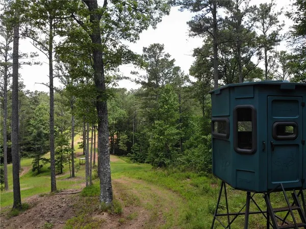 a view of a house with backyard and a tree