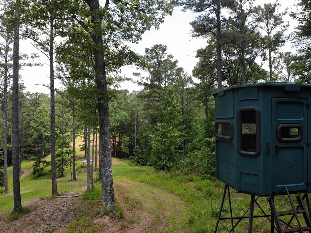 1600 White Road White, GA 30184 - Photo 8 of 17 a view of a house with backyard and a tree