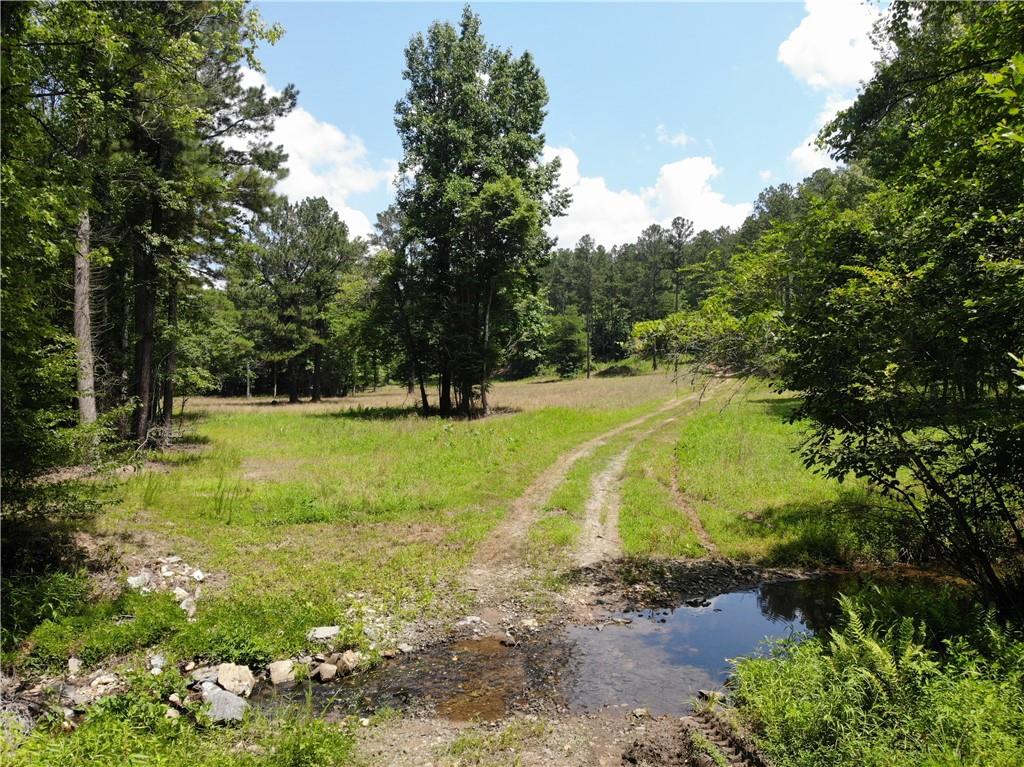 1600 White Road White, GA 30184 - Photo 9 of 17 a view of a garden with a large tree