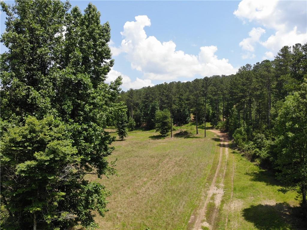 1600 White Road White, GA 30184 - Photo 10 of 17 a view of a yard with swimming pool and trees