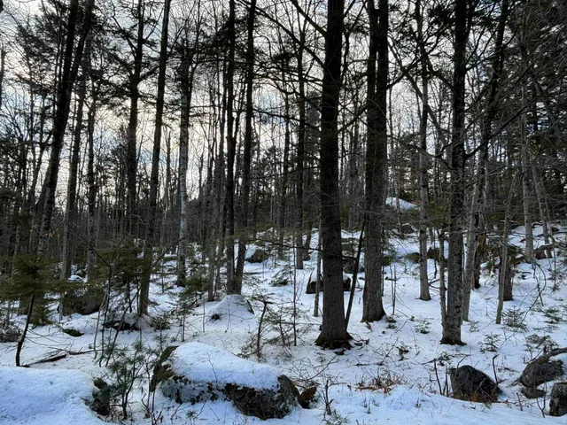 $169,500 | 0 East Washington Road, Washington, NH 03280