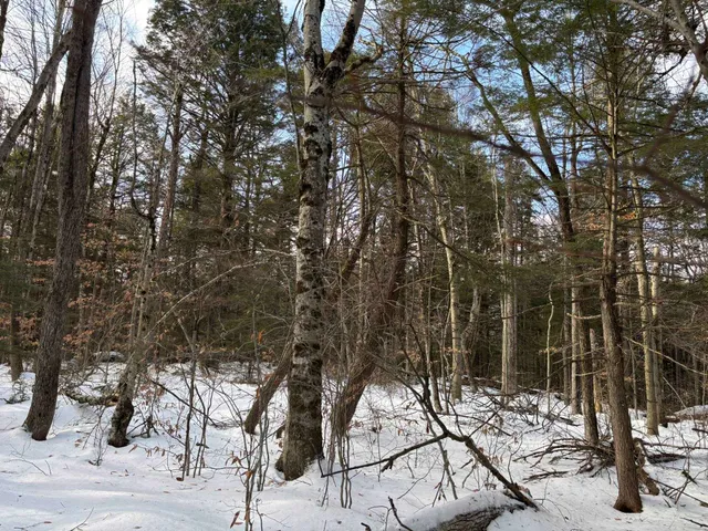 $169,500 | 0 East Washington Road, Washington, NH 03280