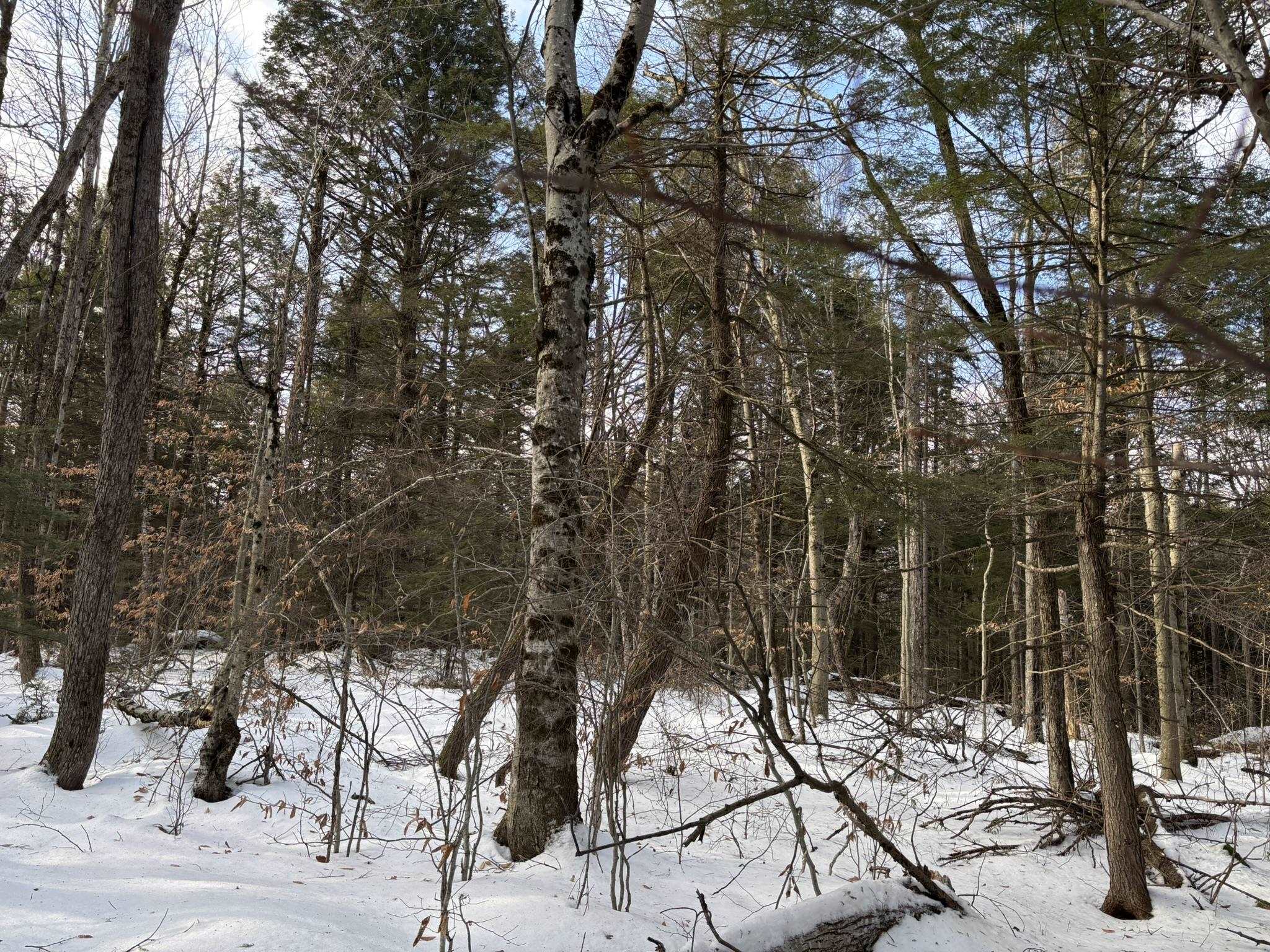 0 East Washington Road Washington, NH 03280 - Photo 5 of 10