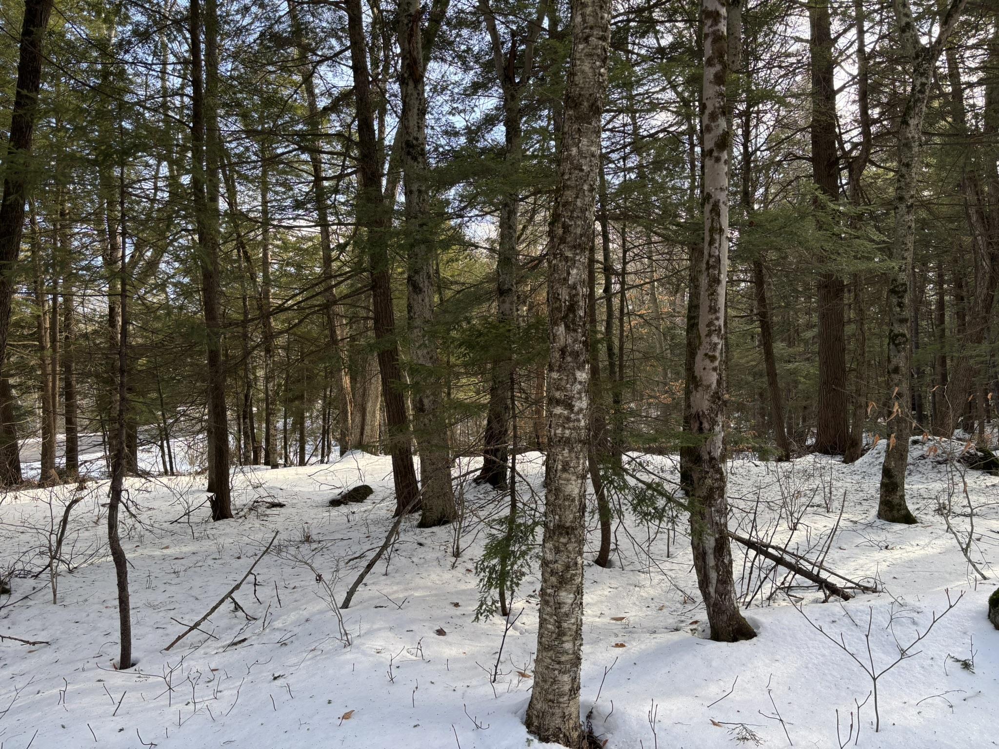 0 East Washington Road Washington, NH 03280 - Photo 6 of 10