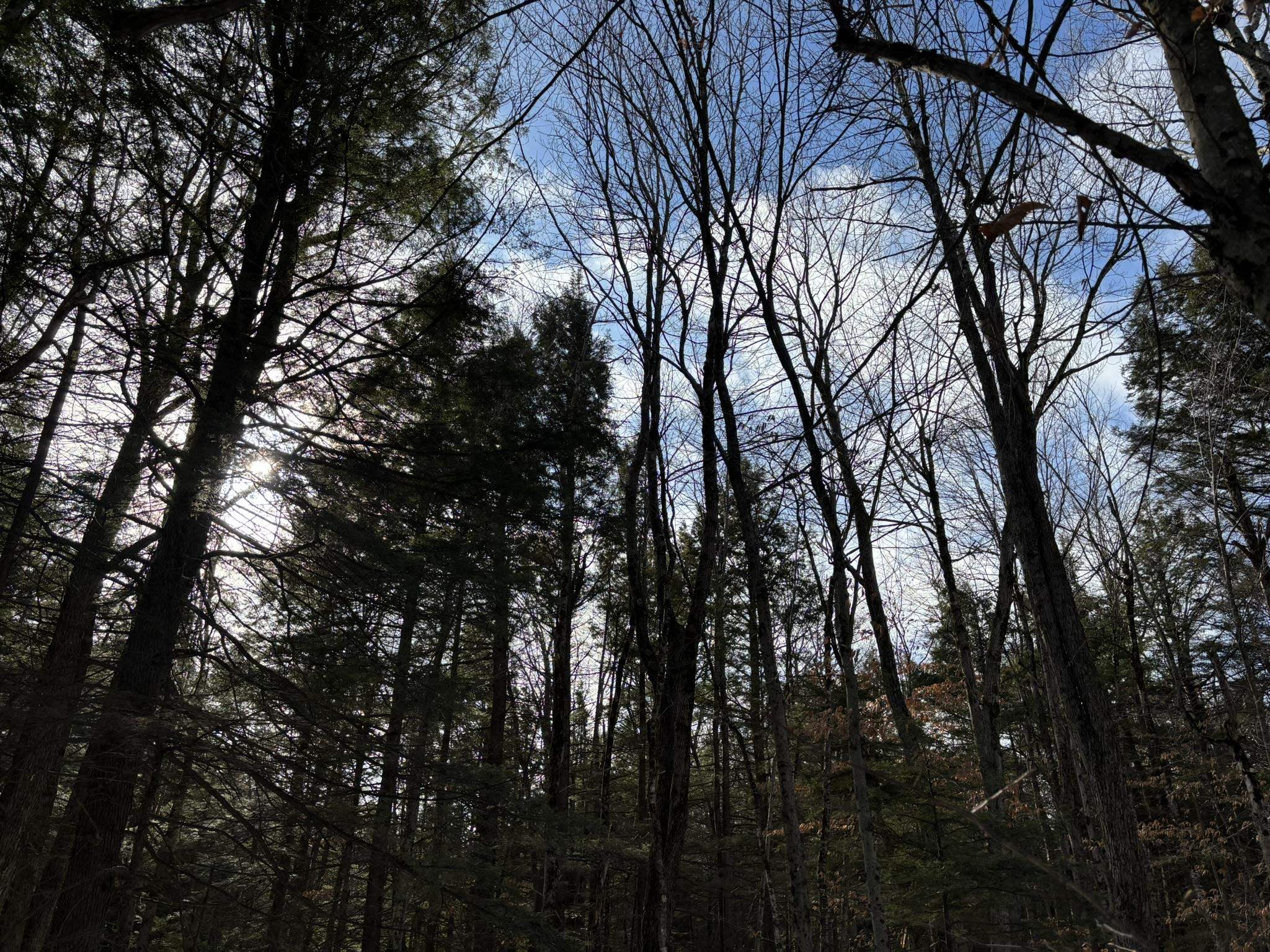 0 East Washington Road Washington, NH 03280 - Photo 10 of 10