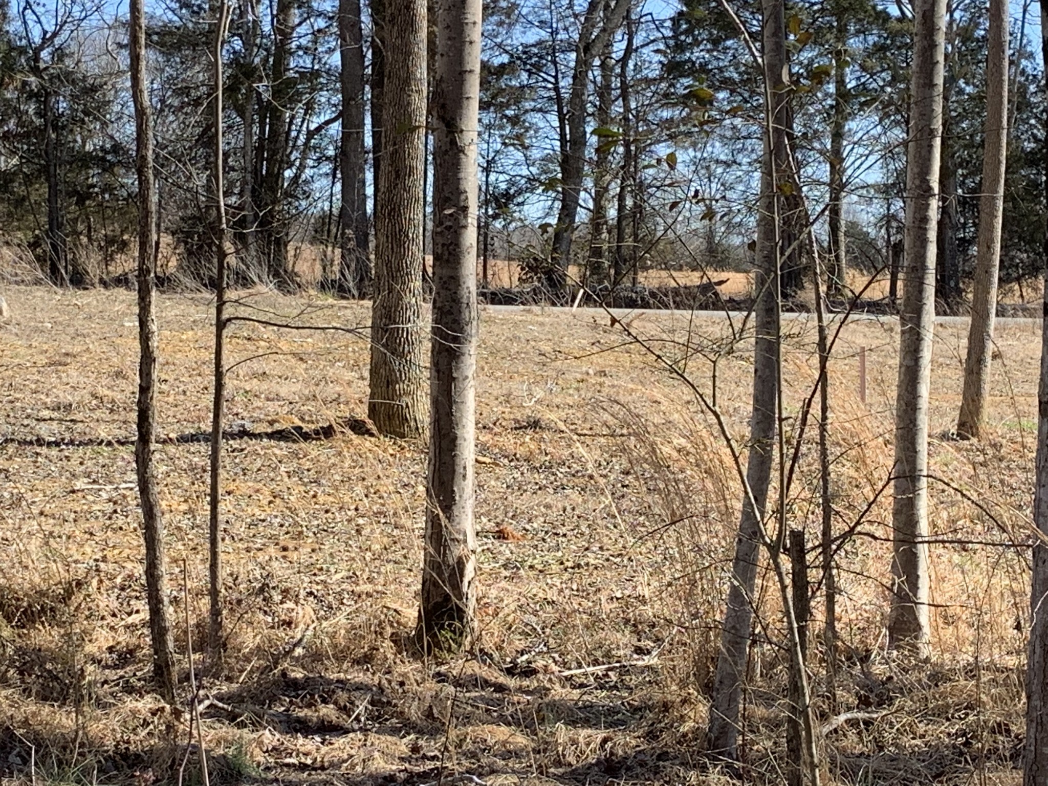 2 Hall Road Bon Aqua, TN 37025 - Photo 13 of 13 Gallery Image 13