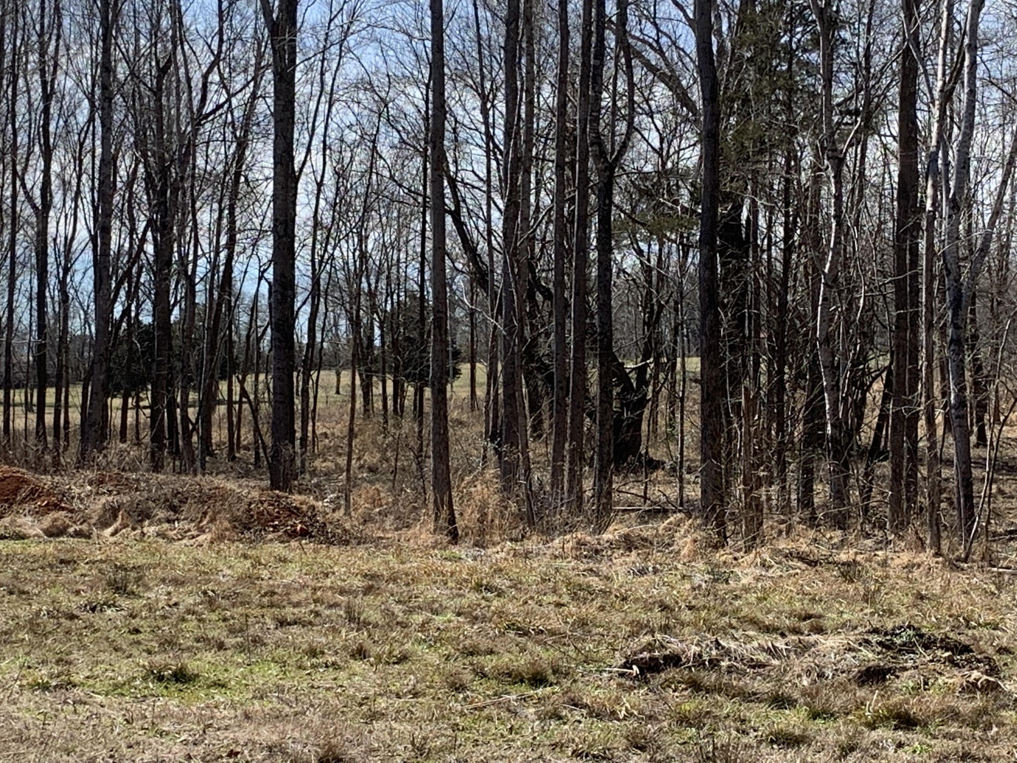 2 Hall Road Bon Aqua, TN 37025 - Photo 6 of 13 Gallery Image 6