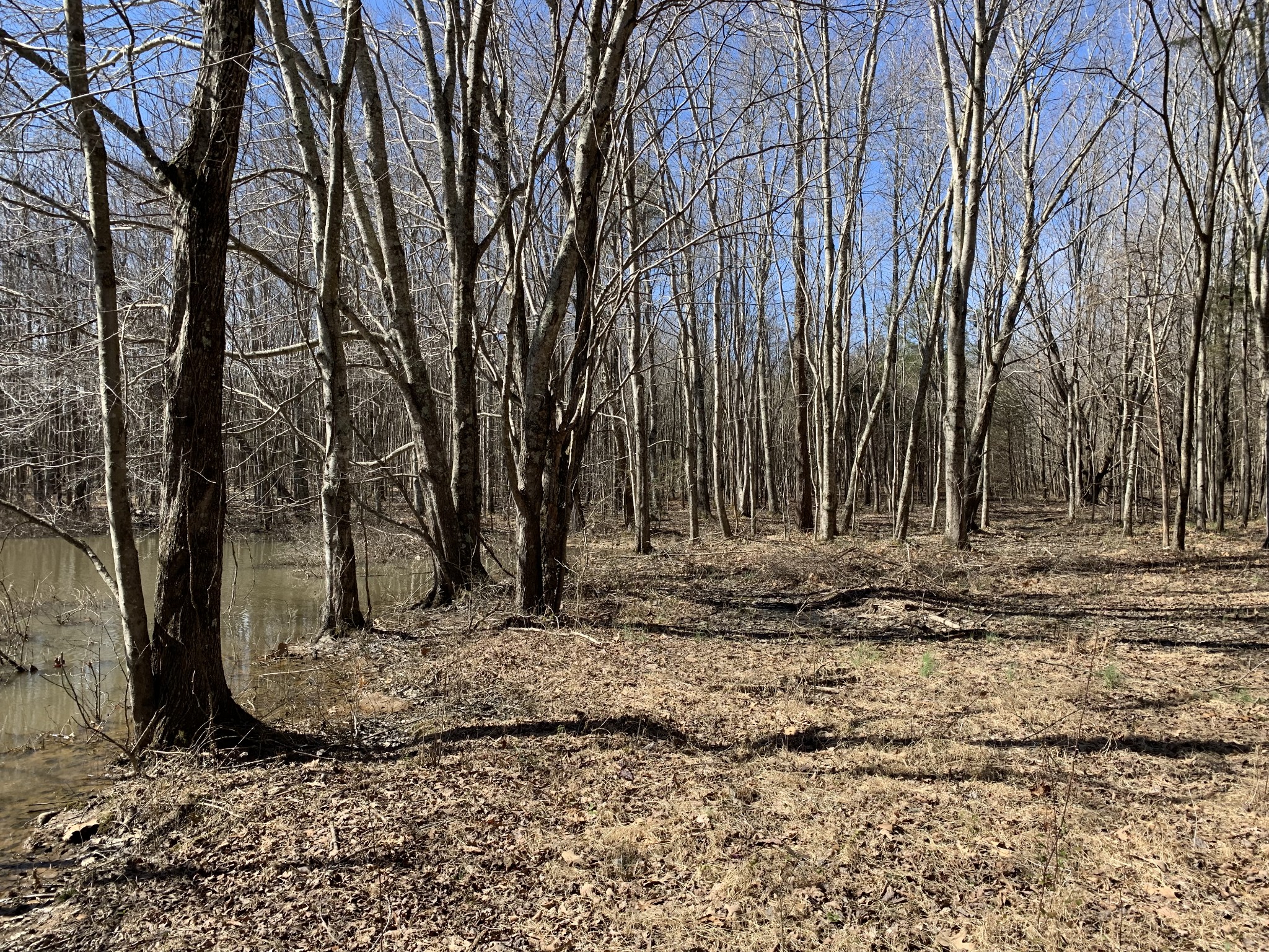 2 Hall Road Bon Aqua, TN 37025 - Photo 8 of 13 Gallery Image 8