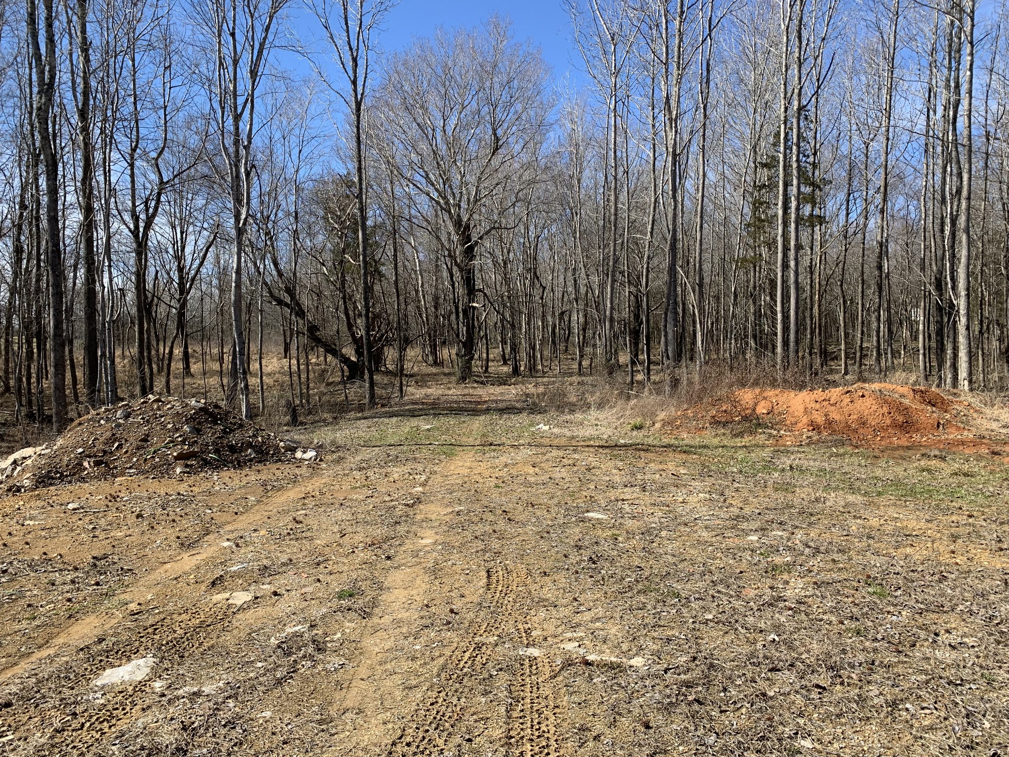 2 Hall Road Bon Aqua, TN 37025 - Photo 10 of 13 Gallery Image 10