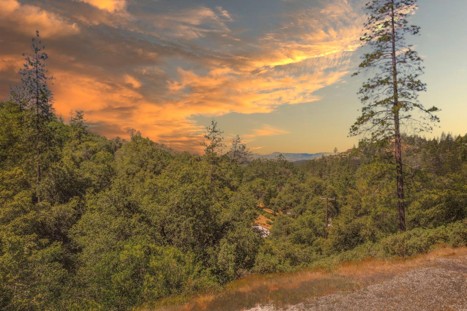 1812 French Gulch Road Murphys, CA 95247 - Photo 7 of 30