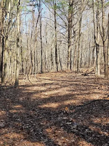 a view of yard with trees