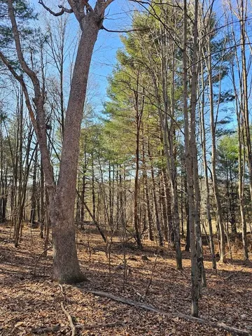 a view of a yard with an outdoor space