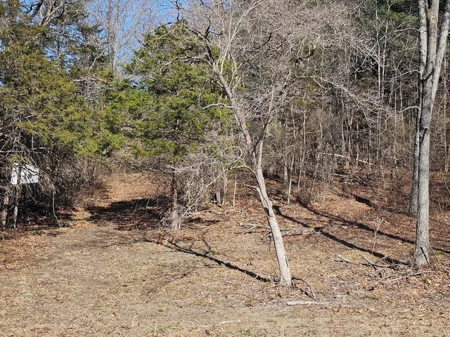 a view of a backyard of the house