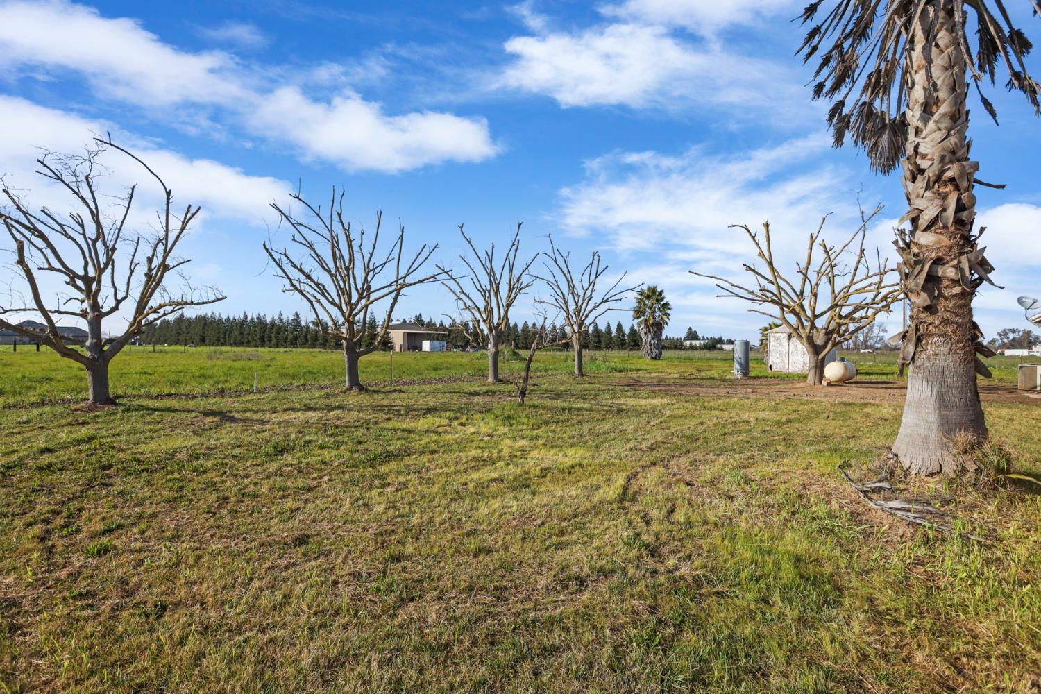24257 North Pearl Road Acampo, CA 95220 - Photo 10 of 41 a view of outdoor space with garden view